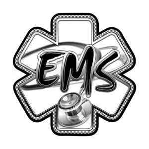  Gray EMS Stethoscope Star of Life Decal   28 h 