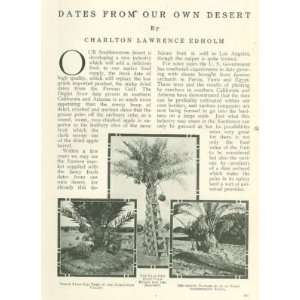  1911 Date Growing American Southwest California Arizona 
