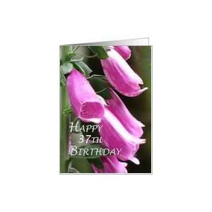  37th Birthday Flowers Card Toys & Games