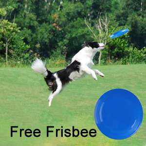 Free Frisbee add more fun Have a blast with your new tunnel