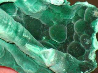 natural Botryoidal MALACHITE specimen  