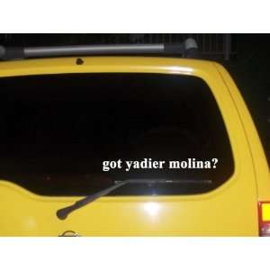  got yadier molina? Funny decal sticker Brand New 