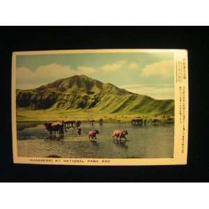  Kusasenri, National Park Aso, Japan Postcard not applicable Books