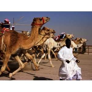  Official Starter Runs Away From Camels at Start of Race at 