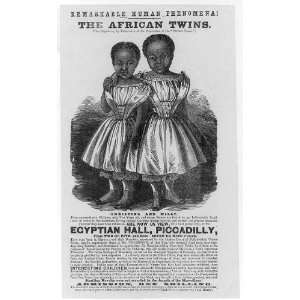  Twins,Egyption Hall,Picadilly,Advertisement Poster,Siamese Twins 
