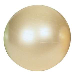  Ball Dynamics FitBALL 75cm Pearl