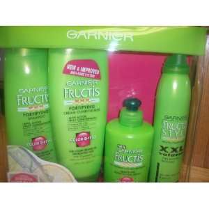    Garnier Fructis the Ultimate Color Care System Kit 