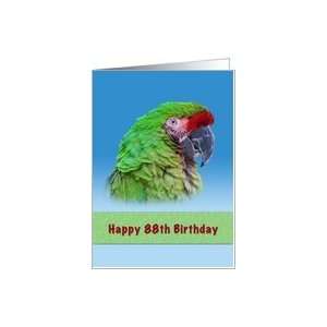  Birthday, 88th, Green Parrot Card: Toys & Games