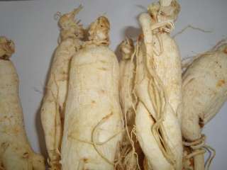 1kg Chinese changbai mountain White ginseng Root /Roots  