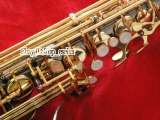 Newest2012 Alto Saxophone Black Nickel Gold High F# New  