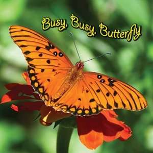 Busy Busy Butterfly Board Book: Office Products
