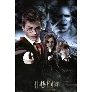 harry potter and the deathly hallows movie poster advance style