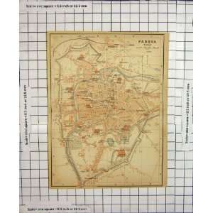   Antique Map Italy Street Plan Padova Canale Alicorno: Home & Kitchen