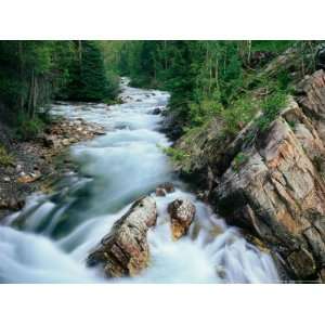  Crystal River, Gunnison National Forest, Colorado, USA Art 