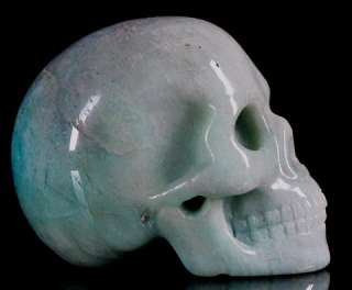 The skull pictured is the exact one you will receive. All pictures 