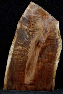 Black Walnut Lumber Bookmatched Taxidermy Slab 5623  