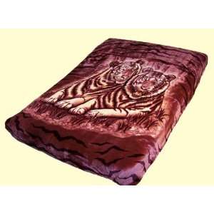  Solaron Queen White Tigers Mink Blanket: Home & Kitchen
