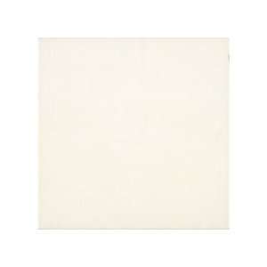  Armstrong Suede 9 x 13 White Ceramic Tile: Home 