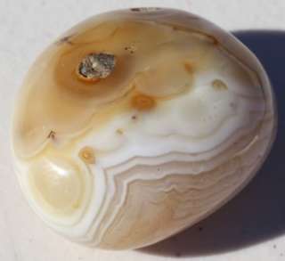 Very Nice Polished Agate Dendrite One of a kind Gem  