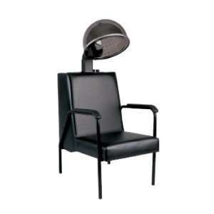  FYS 1080 Salon Dryer Chair with Dryer: Health & Personal 