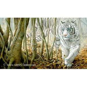   , Softly   White Tiger Artists proof Canvas Giclee