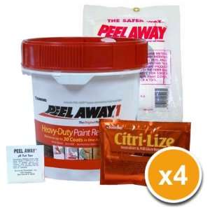 Peel Away 1 Complete 20 Gallon Paint Removal System (Citrilize, Paper)