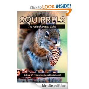 Squirrels: The Animal Answer Guide (The Animal Answer Guides: Q&A for 