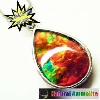 Fire Ammolite Silver Pendant with 18 Chain jewelry #7840  