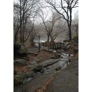 Central Park Ramble 218 Gallery quality Original Photography Giclee 
