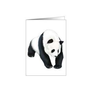  Panda Bear   Animals   Pets   Zoo Animals   Note Card Card 