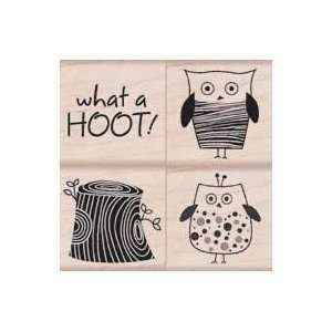  What A Hoot Design Accent by Hero Arts: Home & Kitchen