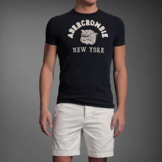 NWT Abercrombie & Fitch Men Blake Peak Graphic Tee T shirt Top  
