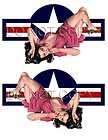 Pinup Vinyl Decal USAF ROUNDEL Cars Motorcycles #1221