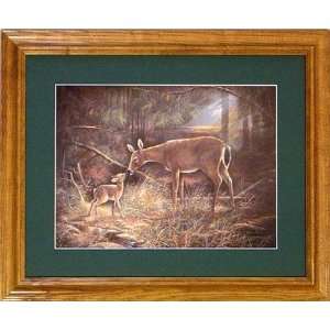  Framed Doe & Baby Deer Bambi Wildlife Nature Picture