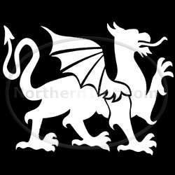 Dragon vinyl kids wall art car truck decal sticker 103  