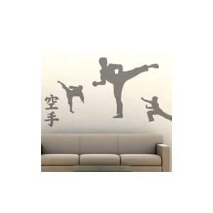  Karate moves wall decals  sports wall decals