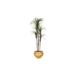    Artificial Dracaena Tree, 5 Heads, 6 ft. Height Electronics