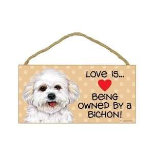  Bichon Frise (puppy cut / short hair cut) (Love is being 
