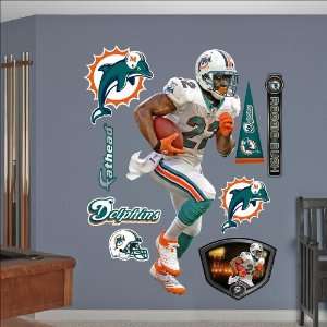  Reggie Bush Fathead Toys & Games