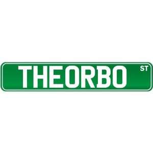    New  Theorbo St .  Street Sign Instruments