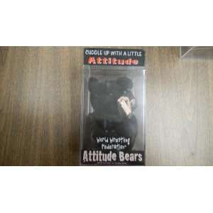   : World Wrestling Federation Attitude Bears The Rock Toys & Games
