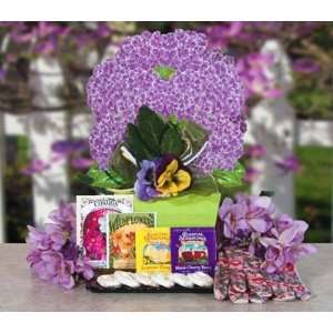 Lilacs Gift Box Gift Basket: Grocery & Gourmet Food