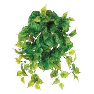  22 Natural Touch Philodendron Hanging Bush w/125 Lvs. Green 