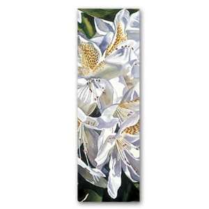   Rhododendron, Lavender Shadows   Double sided Bookmark