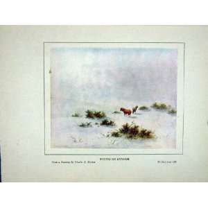   : 1930 Lorna Doone Winter Scene Exmoor Ponies Brittan: Home & Kitchen