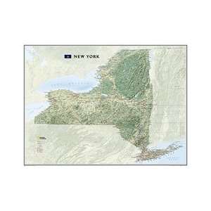   Geographic Maps RE01020402 New York State Wall Map Toys & Games
