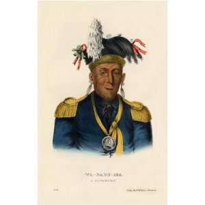 WA BAUN SEE, a Pottawatimie Chief McKenney Hall Indian Print 13 x 19 