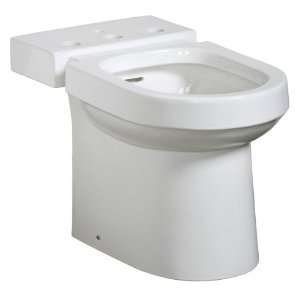  Danze DC034110WH Ziga Zaga Bidet in White with Vertical 