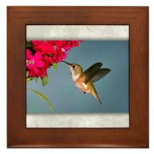 Framed Tile Female Rufous Hummingbird 