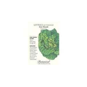   Interest   Lettuce Butterhead Tom Thumb: Patio, Lawn & Garden